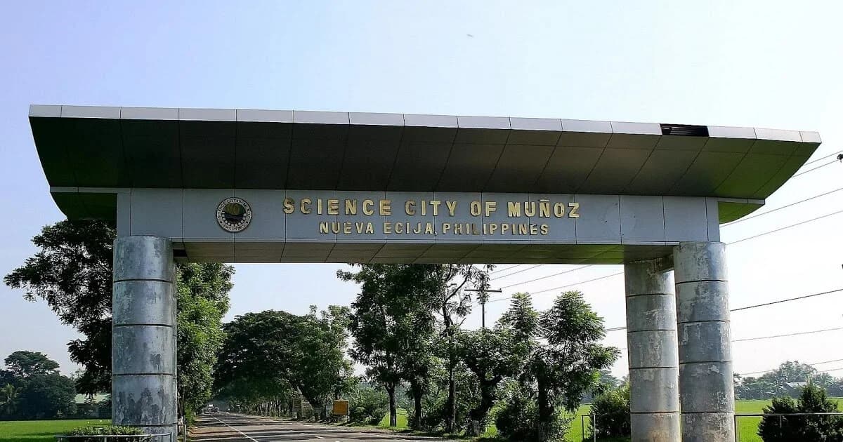 A road passing under the concrete welcome arch of the Science City of Muñoz, with trees and rice fields on either side.